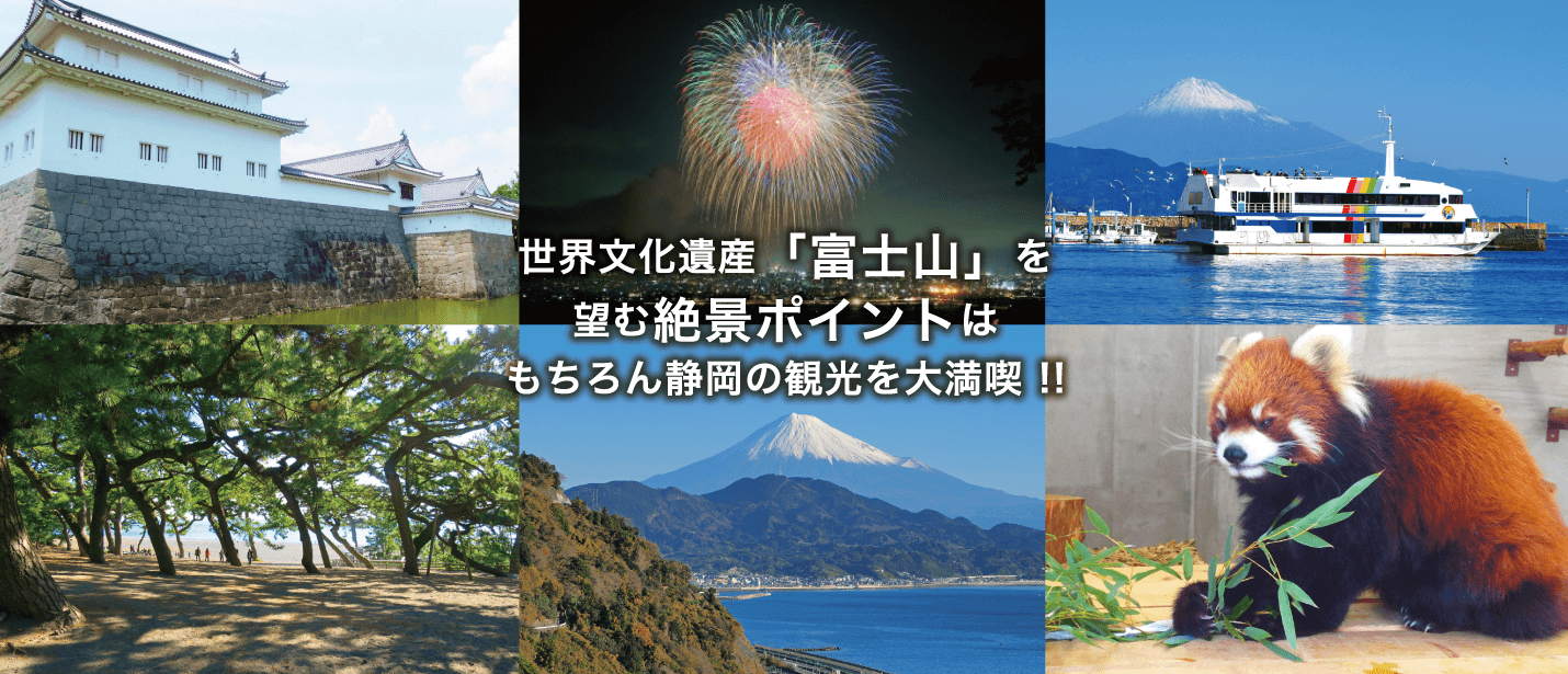 世界文化遺産「富士山」を望む絶景ポイントはもちろん静岡の観光を大満喫!!