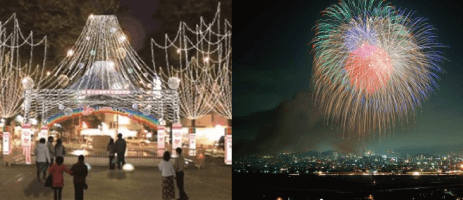 リニューアルセミダブル