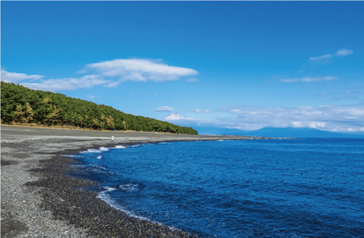世界文化遺産富士山の構成資産「三保の松原」