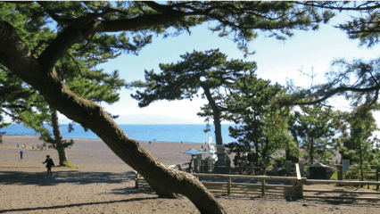 世界文化遺産富士山の構成資産「三保の松原」